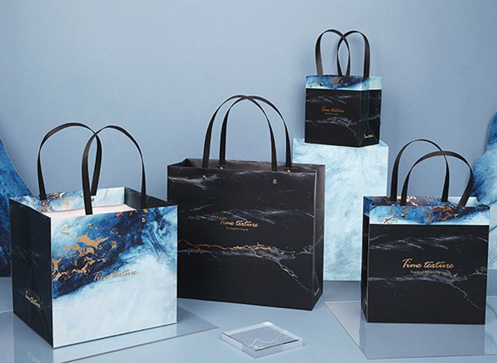 SHENZHEN VERSILIA INDUSTRY CO LTD