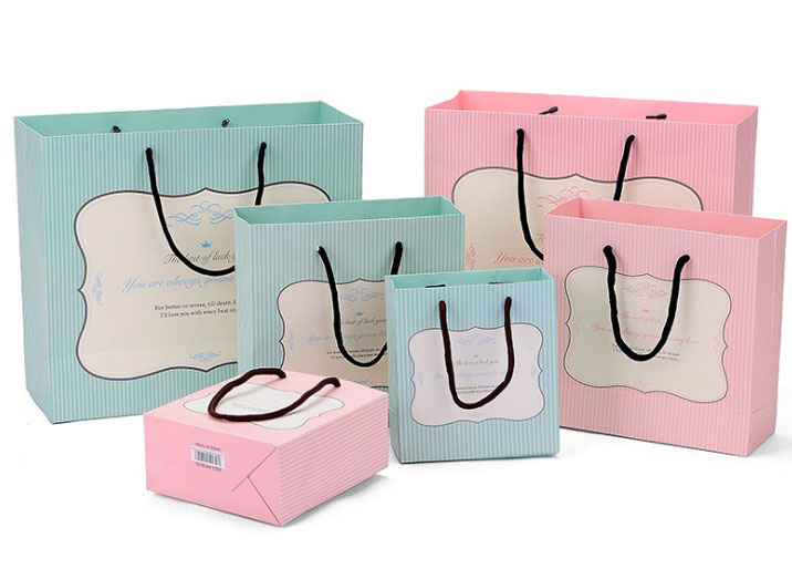 SHENZHEN VERSILIA INDUSTRY CO LTD