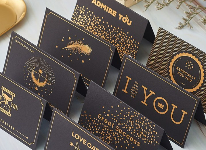 SHENZHEN VERSILIA INDUSTRY CO LTD